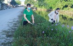 Phụ nữ Hưng Yên chung tay bảo vệ môi trường, góp phần xây dựng nông thôn mới kiểu mẫu