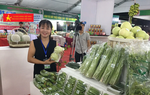 Tăng cường hỗ trợ giới thiệu, kết nối doanh nghiệp, hợp tác xã tiêu thụ hàng hóa, sản phẩm 