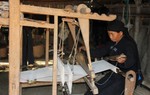 Bắc Hà (Lào Cai): Phụ nữ người La Chí gặp nhiều khó khăn vì "rào cản" ngôn ngữ

