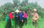 Nỗ lực xóa bỏ tư tưởng trọng nam khinh nữ trong người cao tuổi vùng đồng bào dân tộc thiểu số