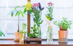 Mottainai - văn hóa sống "ăn sâu" vào máu của người Nhật Bản