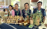 Lâm Đồng: Cuộc sống phụ nữ dân tộc được nâng lên nhờ tổ hợp tác ong PơKao