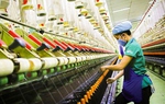 Sử dụng công nghệ số, dữ liệu số, chuyển đổi số để tăng năng suất lao động