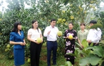 Phú Thọ: Hỗ trợ nâng cao năng lực cho hơn 800 phụ nữ khởi sự kinh doanh