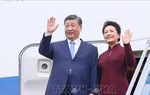 Tổng Bí thư, Chủ tịch nước Trung Quốc Tập Cận Bình và Phu nhân bắt đầu chuyến thăm Việt Nam