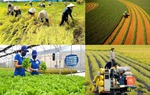 Hơn 10 triệu hội viên Hội Nông dân Việt Nam nỗ lực làm giàu, giảm nghèo bền vững