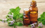 Dầu bạc hà và những tác dụng đối với sức khỏe đã được khoa học chứng minh