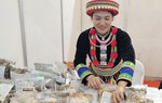 Kết nối giao thương giữa các hợp tác xã sản xuất trong ngành dược liệu