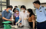 Tăng cường kiểm soát, ngăn chặn thực phẩm kém chất lượng dịp Tết Nguyên đán và mùa Lễ hội Xuân 2024