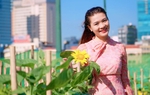Vườn hoa hướng dương bên sông Sài Gòn sẵn sàng khoe sắc dịp Giáng sinh  
