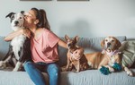 Bác sĩ nói về thói quen ôm hôn chó mèo của người trẻ: Cẩn thận các bệnh ký sinh trùng nguy hiểm!