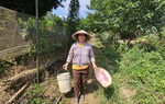 Cùng phụ nữ vươn lên làm giàu chính đáng