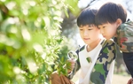 Sinh viên Đại học Tokyo có niềm say mê học tập từ nhỏ nhờ một thói quen của cha mẹ 