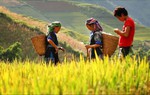 Thái Nguyên: Định mức mới xác định hộ đồng bào dân tộc thiếu đất sản xuất