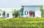 Sau loạt phiên bị bán tháo, cổ phiếu LDG được “giải cứu”?