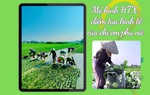 Thái Bình: Phụ nữ Quỳnh Hải biến tấc đất thành tấc vàng 