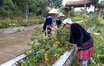 Lai Châu: Mỗi chi hội phụ nữ là một hạt nhân xây dựng nông thôn mới