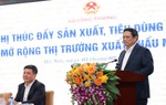 Thúc đẩy sản xuất, tiêu dùng trong nước và mở rộng thị trường xuất khẩu