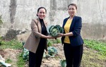 Cán bộ Hội tâm huyết với công tác bảo vệ môi trường
