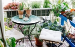 Cách thiết kế ban công nhỏ cho nhà phố ngập cây xanh