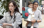 Bạn gái Lưu Khải Uy đã mang thai 2 tháng, Dương Mịch đang chuẩn bị đòi quyền nuôi con 