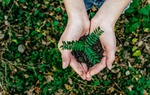 Đắk Lắk: Phụ nữ xã Cư M’gar lan toả lối sống xanh 