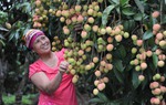 Bắc Giang: Phát huy nội lực vươn lên thoát nghèo bền vững 