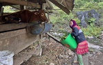 Trao mô hình sinh kế giúp người nghèo không còn lẻ loi trên chặng đường vượt khó