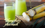Thức uống được Đông y gọi là "thang thuốc phục mạch", giúp khỏe gan, tốt cho thận, đẹp da