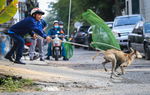 Hành vi thả rông chó: Vì sao khó xử lý?