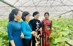 Hỗ trợ vốn vay để “chắp cánh” cho nhiều dự án chất lượng cao