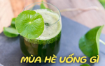 Thức uống mùa hè để giải nhiệt nhưng cần nhớ 7 điều cấm kỵ khi dùng