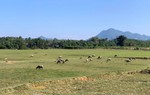 Dự thảo Luật Đất đai (sửa đổi) bỏ khung giá đất: Khó xác định “giá đất phổ biến trên thị trường”