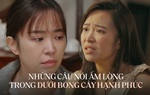 Những câu nói hạnh phúc trong bộ phim bị gọi là "Dưới bóng cây bất hạnh"