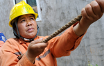 Những phụ nữ bình dị, tỏa sáng ở Điện lực miền Bắc