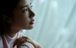 Rớt nước mắt khi thấy chị dâu đi rửa bát thuê để nuôi em chồng ăn học