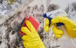 Loại bỏ nấm mốc trong nhà khi thời tiết mưa ẩm với 4 nguyên liệu đơn giản, dễ tìm