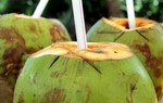 Uống nước dừa lúc bụng đói buổi sáng: Lợi ích bất ngờ