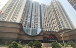 Căn hộ đậm chất Nhật Bản ngay giữa trung tâm Hà Nội