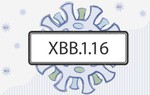Những điều cần biết về biến thể XBB.1.16 đang gia tăng tại Châu Á