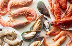 Dị ứng động vật có vỏ: Dấu hiệu nhận biết và xử lý