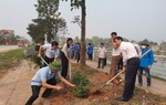 Trồng mới cây xanh, thi đua xây dựng huyện nông thôn mới