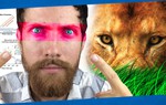Vì sao con người lại sở hữu đôi mắt của những kẻ săn mồi hàng đầu?