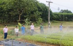 Trợ lực giúp người yếu thế phát triển kinh tế, cải thiện chất lượng sống 
