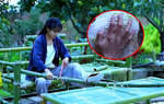 Bàn tay đầy sẹo sần sùi của "tiên nữ đồng quê" của Lý Tử Thất: Hiện thực không như mơ