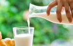 Uống 2-3 cốc sữa con vẫn không cao, có thể mẹ đã bỏ lỡ thời điểm "vàng" cơ thể hấp thu canxi tốt nhất