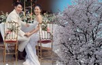 Son Ye Jin liên tục hoạt động MXH sau thời gian ở ẩn và vướng tin ly hôn Hyun Bin