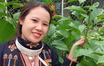 Nàng dâu bản Dao quyết tâm phát triển nghề thuốc Nam truyền thống