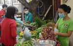 Người Sài thành đi chợ phiên mua chả rươi Hải Phòng, mơ má đào Tây Bắc 