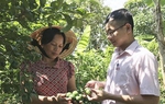 Tín dụng chính sách giúp Nam Đàn tiến đến nông thôn mới kiểu mẫu (Kỳ 2)